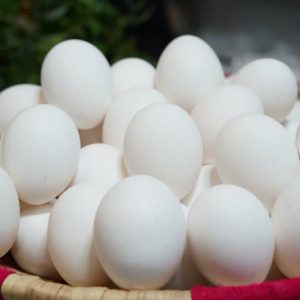 تخم مرغی محلی مشکول